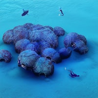 a group of people are scuba diving in the ocean